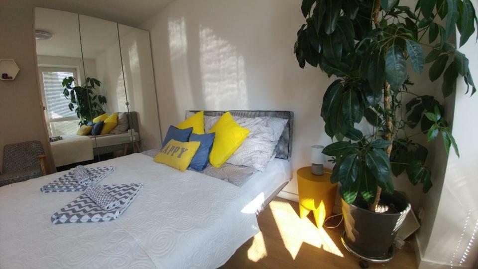 Apartament Centrum Augustow Exterior photo